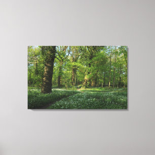 Spring in the Woods, Bute Park, Cardiff Canvas Print
