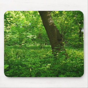 Spring in the Woods Mouse Pad