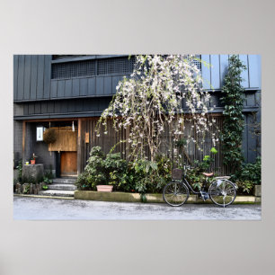 Spring in Tokyo Poster