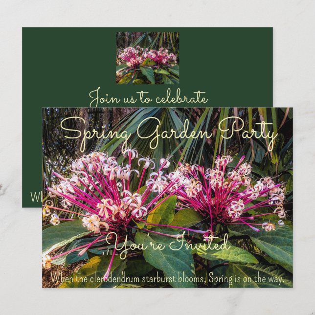 Spring is coming. invitation (Front/Back)