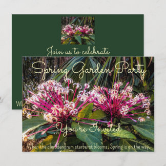 Spring is coming. invitation