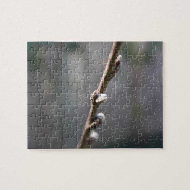 Spring is Coming Jigsaw Puzzle (Horizontal)