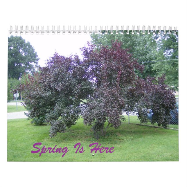 Spring Is Here Calendar (Cover)