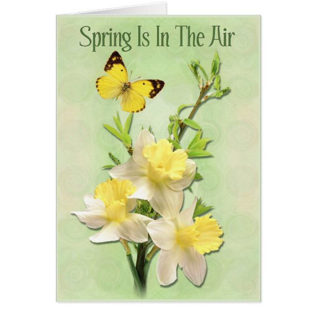 Spring Is In The Air (Front)