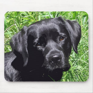 Spring Joy - Labrador Retriever - Black Lab Mouse Pad