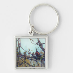 Spring Key Ring