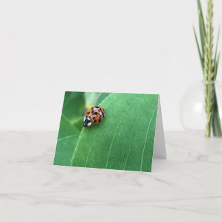 Spring Ladybug on Green Leaf Thank You Card