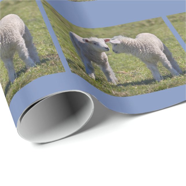 Spring Lambs Wrapping Paper (Roll Corner)
