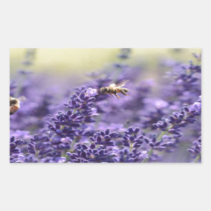 Spring Lavender with Bees Purple Floral Rectangular Sticker