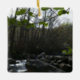 Spring Leaves at the Little Pigeon River Ceramic Ornament