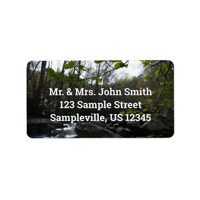 Spring Leaves at the Little Pigeon River Label (Front)