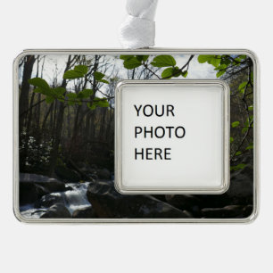 Spring Leaves at the Little Pigeon River Silver Plated Framed Ornament
