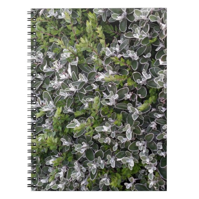 spring leaves of bushes in the park nature pattern spiral notebook (Front)