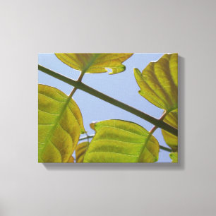 Spring Leaves Wrapped Canvas