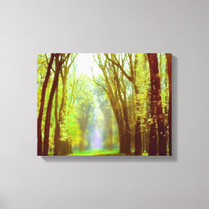 Spring Light Canvas Print