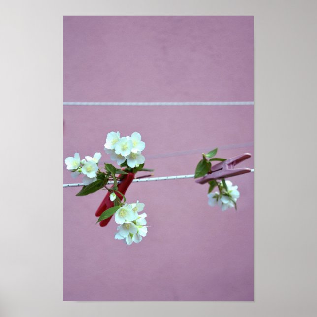 Spring Line Poster (Front)