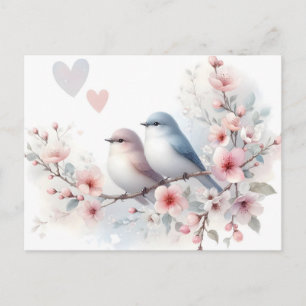 Spring Love Birds Cherry Blossom Floral Announcement Postcard