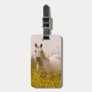 Spring Luggage Tag