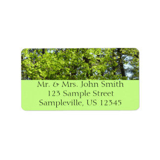 Spring Maple Leaves Label