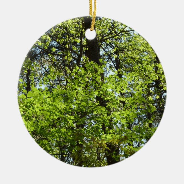 Spring Maple Leaves Nature Ceramic Tree Decoration (Front)