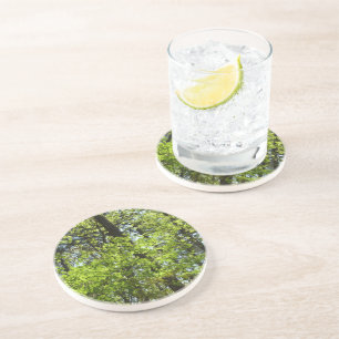 Spring Maple Leaves Nature Coaster