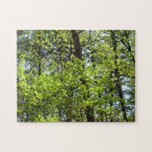 Spring Maple Leaves Nature Jigsaw Puzzle