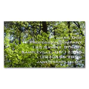 Spring Maple Leaves Nature Magnetic Business Card