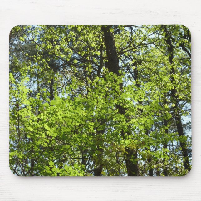 Spring Maple Leaves Nature Mouse Pad (Front)