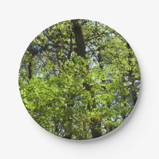 Spring Maple Leaves Nature Paper Plate (Front)