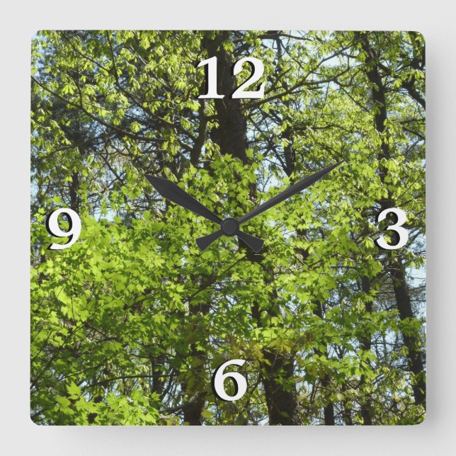 Spring Maple Leaves Nature Square Wall Clock (Front)