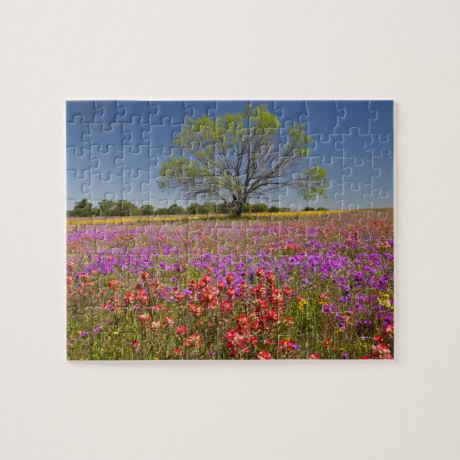 Spring mesquite trees growing in wildflowers, jigsaw puzzle (Horizontal)