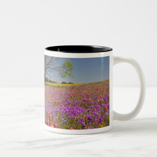 Spring mesquite trees growing in wildflowers, Two-Tone coffee mug (Right)