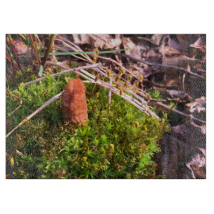 Spring Morel Cutting Board