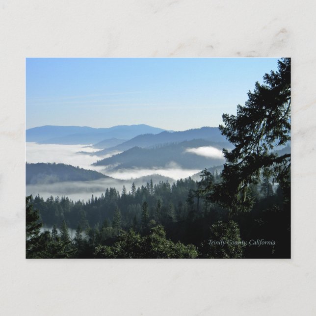 Spring morning bliss... postcard (Front)