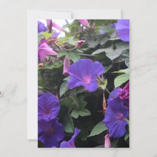 Spring Morning Glories in Blue Invitation