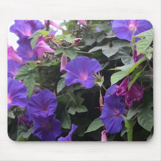 Spring Morning Glories in Blue Mouse Pad (Front)