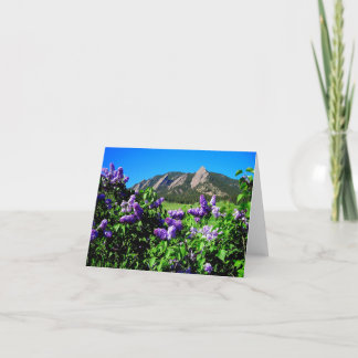 Spring Mountain Flowers Note Card