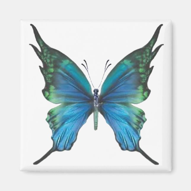 Spring Myst Magnet (Front)