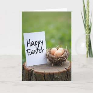 Spring Nest Greeting Card