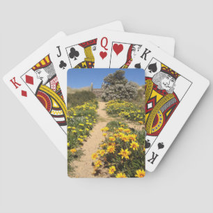 Spring ninety mile beach entrance playing cards