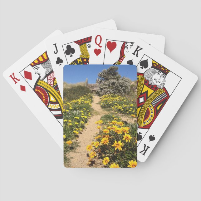Spring ninety mile beach entrance playing cards (Back)