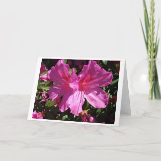 Spring Note Card