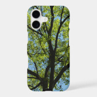 Spring Oak Tree Vibrant Nature