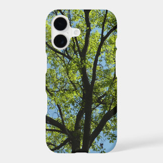 Spring Oak Tree Vibrant Nature