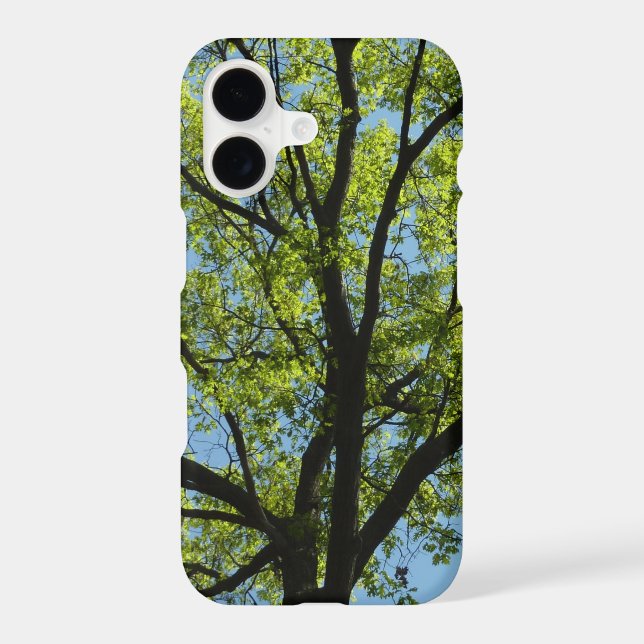 Spring Oak Tree Vibrant Nature (Back)