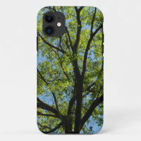 Spring Oak Tree Vibrant Nature