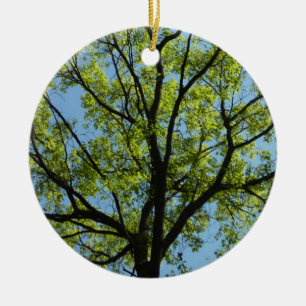 Spring Oak Tree Vibrant Nature Ceramic Tree Decoration