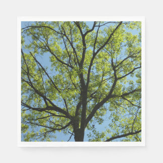Spring Oak Tree Vibrant Nature Napkin
