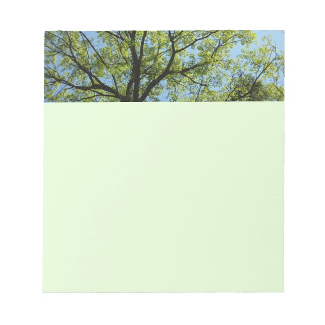 Spring Oak Tree Vibrant Nature Notepad (Front)