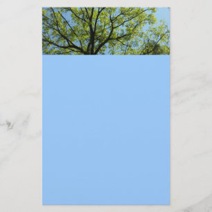 Spring Oak Tree Vibrant Nature Stationery